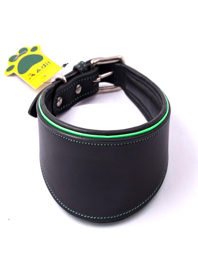 ADIL'S Adil’s Leather Dog Collar for Greyhound, Saluki, Whippet Dogs with Green Piping and Soft Padding, Width: 1 inch, Size M, Black - Image 1